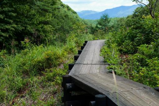 ハイキングコースになっている木道 ハイキングコースになっている木道の写真