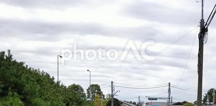 曇り空と街路灯 曇り空,樹木,街路灯の写真素材