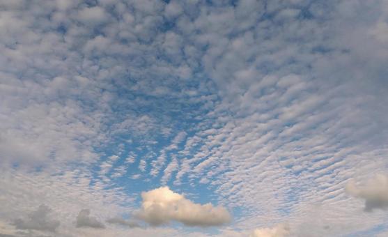 光が差したうろこ雲 光が差したうろこ雲 うろこ雲,秋の空,雲の写真素材