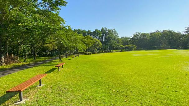 朝の北部公園(金沢市):32 朝の北部公園(金沢市):32 公園,春,夏の写真素材