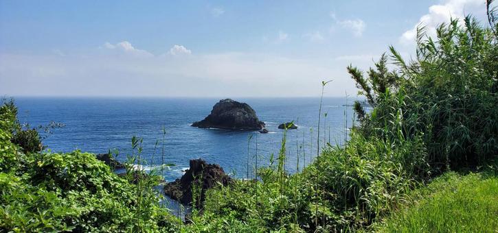 山から見る海 山から見る海の写真