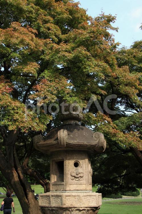 奈良の自然風景９ 燈籠,石材,樹木の写真素材
