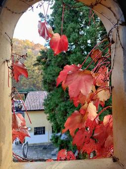 塔の小窓から見た風景 石塔,古城,西洋の写真素材