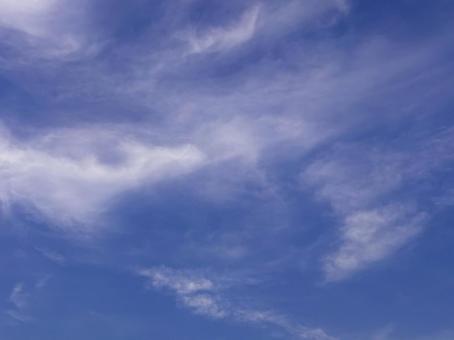 【風景写真】夏空 【風景写真】夏空の写真