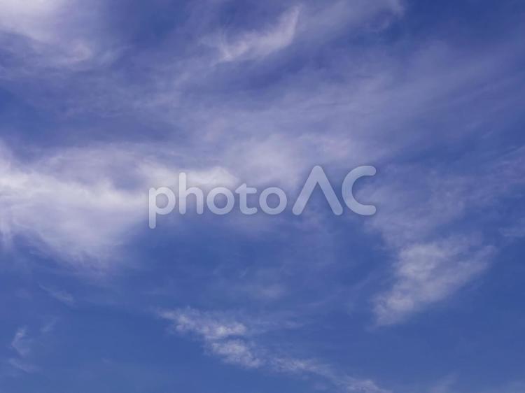 【風景写真】夏空 夏空,空,雲の写真素材