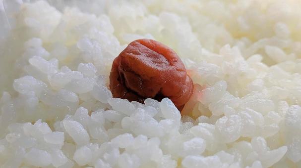 食卓の赤と白-01の写真