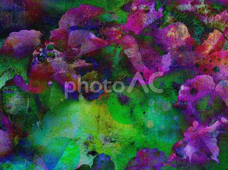 植物をモチーフにした神秘的背景 植物,神秘的,グリーンの写真素材