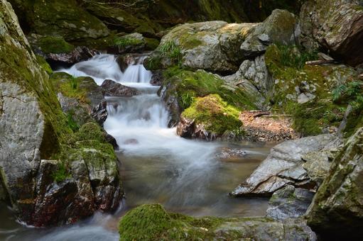 森の中を流れる小川の風景 小川,沢,渓流の写真素材