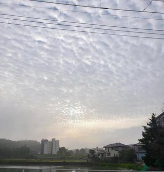 うろこ雲 うろこ雲の写真