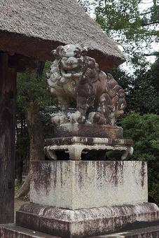 パワースポット 滋賀県 蜊江神社⑦ 狛犬 パワースポット 滋賀県 蜊江神社⑦ 狛犬の写真