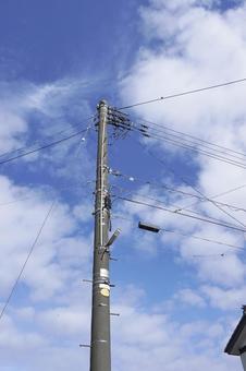 電信柱のとまるスズメの群れ05 すずめ,雀,電信柱の写真素材