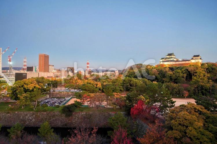 和歌山城ライトアップと和歌山市街地 和歌山城,天守閣,ビルの写真素材