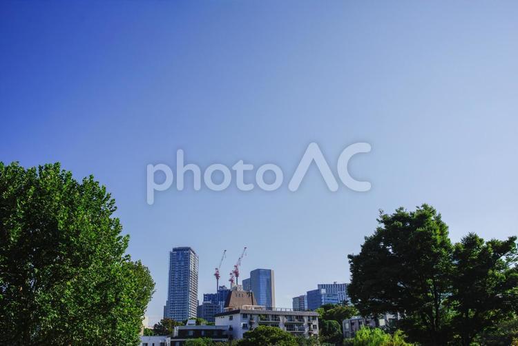 秋空が美しい赤坂の風景 風景,秋空,快晴の写真素材