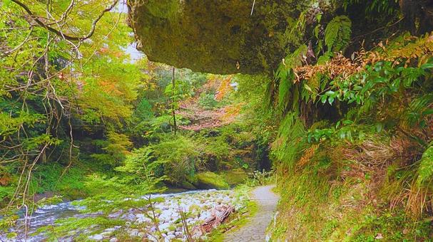 鶴仙渓遊歩道15 鶴仙渓遊歩道15の写真