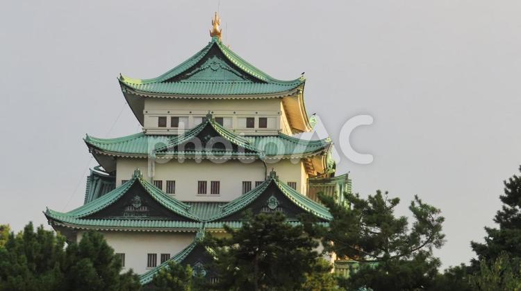 名古屋城　夕日に映える天守閣 名古屋城,尾張徳川家,御三家の写真素材