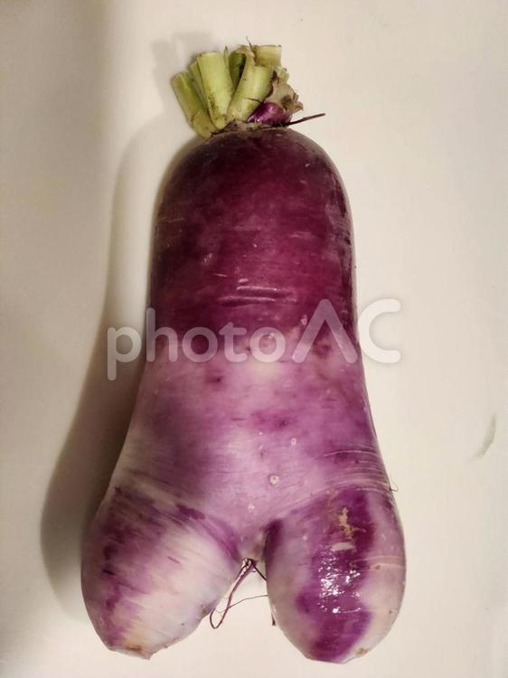 足の生えた赤大根 食べ物,赤大根,大根の写真素材