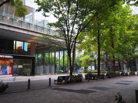 丸の内の街並み（東京都・千代田区） 丸の内,東京駅周辺,街並みの写真素材