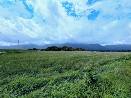 牧草地 牧草地の写真