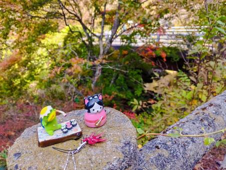 もみじと河童と弁財天 秋,紅葉,10月の写真素材