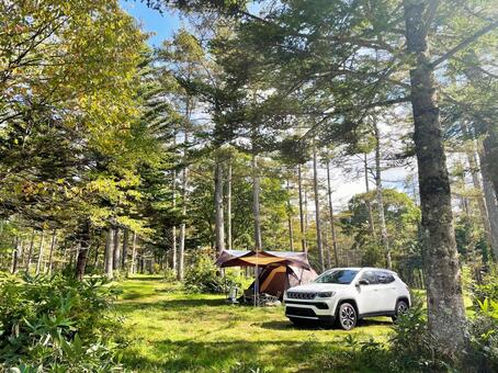 キャンプ テント,タープ,キャンプの写真素材