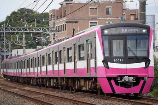 京成電鉄80000形「新京成塗装」 鉄道,乗り物,京成の写真素材