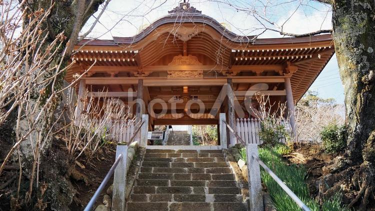 冬の飯山観音の境内（神奈川県・厚木市） 冬,飯山観音,長谷寺の写真素材