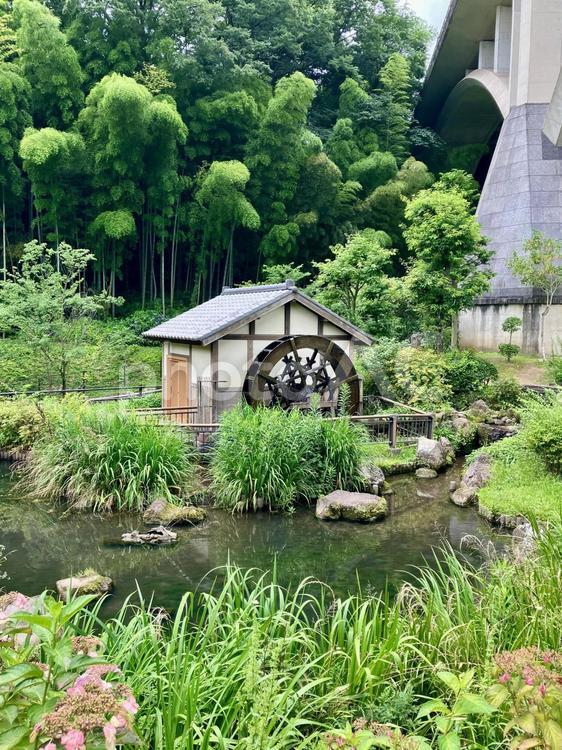 水車がある風景 水車,自然,緑の写真素材