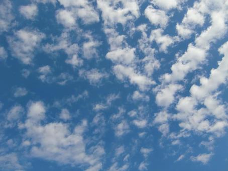 November Clouds-41, JPG