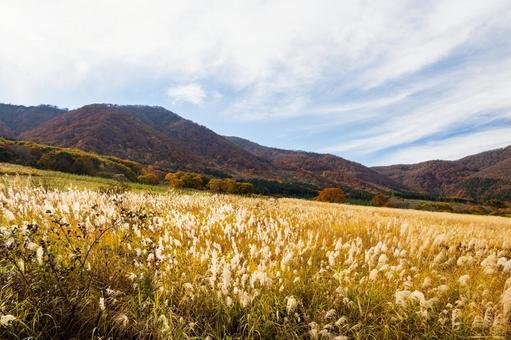 秋の鬼首⑽ 秋,紅葉,ススキの写真素材