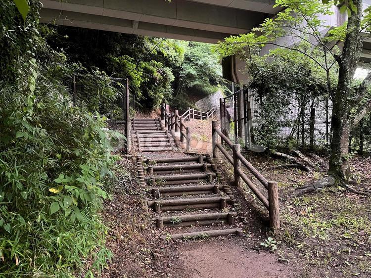 公園の風景 公園,階段,自然の写真素材