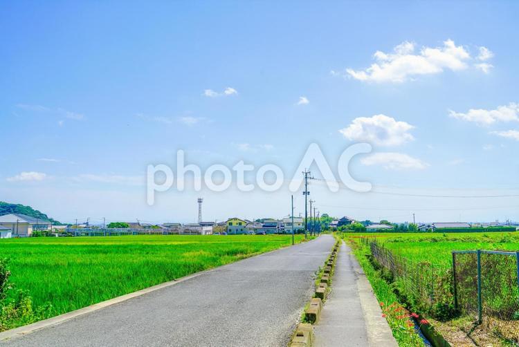 田舎の風景 風景,青空,空の写真素材