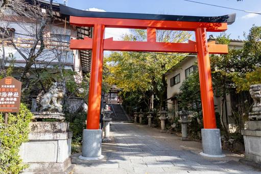 宇治神社の赤い鳥居 宇治神社の赤い鳥居の写真