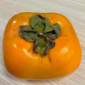 ツヤのある柿の実（テーブルの上） 柿,果物,秋の写真素材