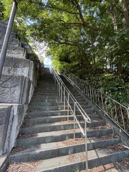 長い石段 長い石段の写真