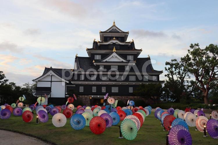 岡山城　岡山　和傘　ライトアップ 岡山城,天守,天守閣の写真素材