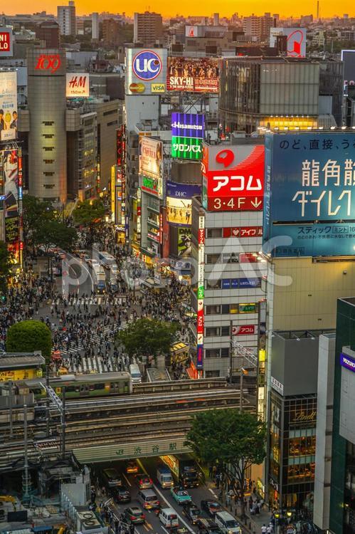 渋谷ヒカリエから見える渋谷スクランブル交差点３ 109,スクランブル交差点,ビルの写真素材