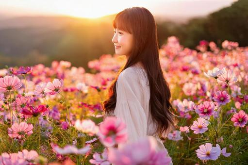 夕焼けのコスモス畑に佇む女性 夕焼けのコスモス畑に佇む女性の写真