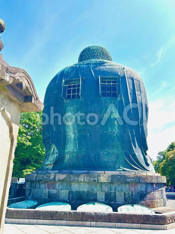 高徳院の鎌倉大仏の写真素材5 大仏,高徳院,鎌倉の写真素材
