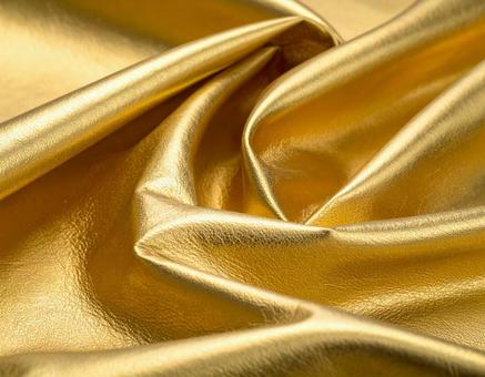 金の革02の写真