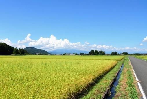 青空と田んぼ 青空と田んぼ 青空,田んぼ,風景の写真素材