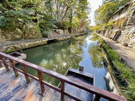 滋賀　八幡堀の船橋　2 船橋,浮橋,八幡堀の写真素材