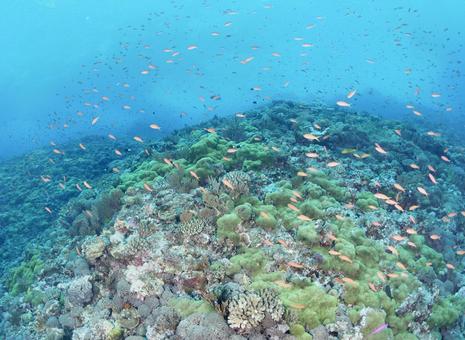 海 海の写真
