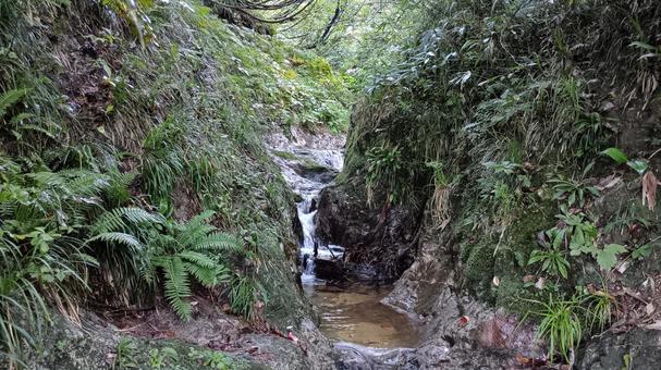 枝折峠途中にある小さな滝と小川 滝,小川,風景の写真素材