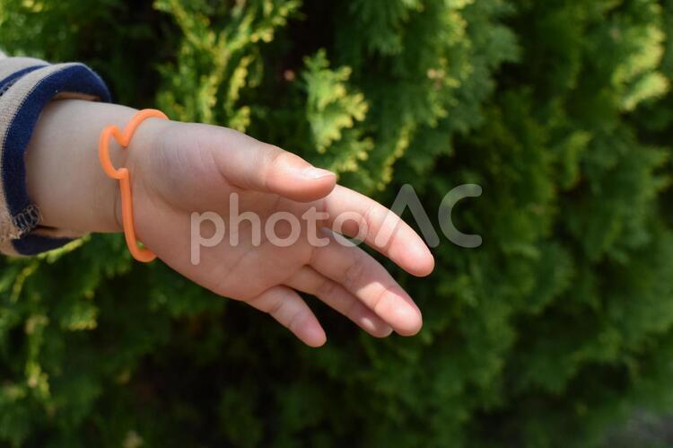 虫除けリングを付けた子供の左腕 虫除け,虫除けリング,夏の写真素材