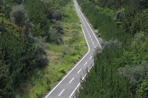 自転車道 道路,自転車道,アスファルトの写真素材