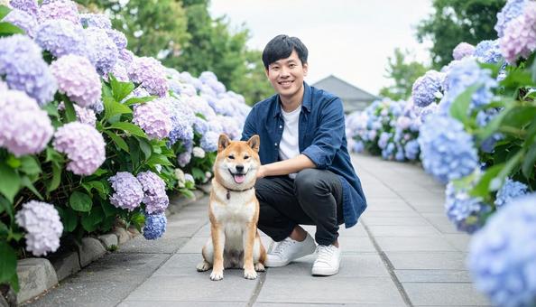 あじさいを背景に柴犬と一緒の男性 あじさいを背景に柴犬と一緒の男性の写真
