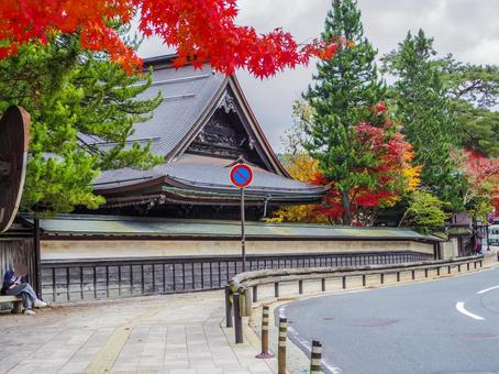 【和歌山県】高野山の街並み 高野山,和歌山県,寺院の写真素材