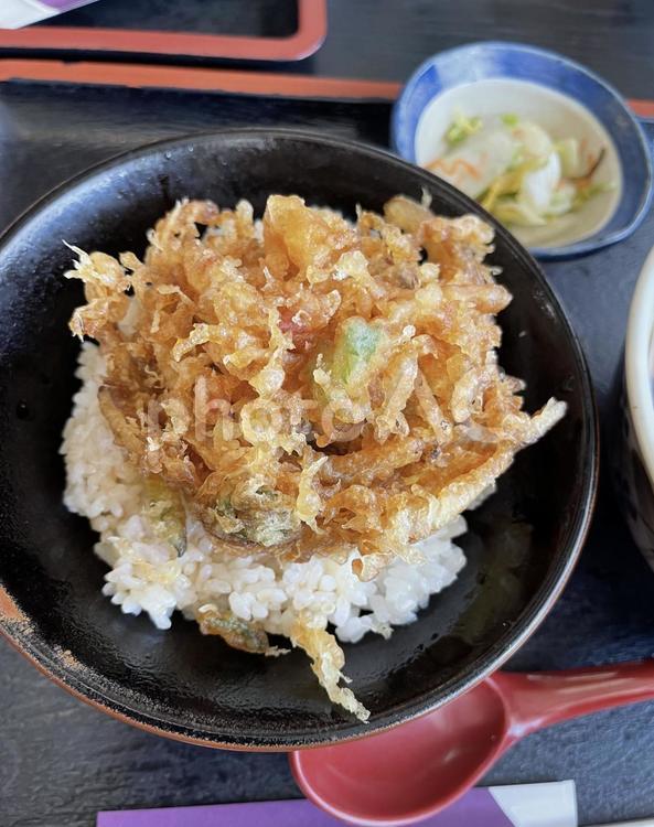 かき揚げ丼 食事,食べ物,夕食の写真素材