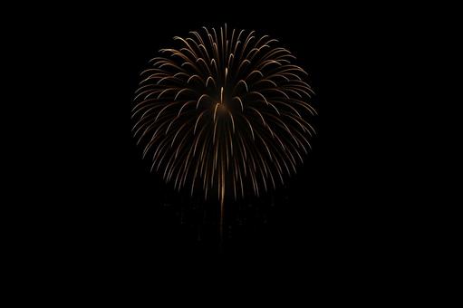 夜空の黄金菊花火 夜空の黄金菊花火の写真