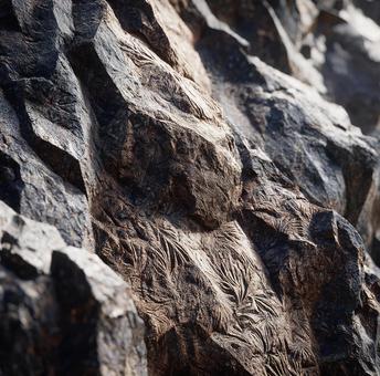 岩石の持つ複雑なテクスチャの写真